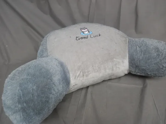 UNBRANDED 'GOOD LUCK' CUSHIONED PILLOW 