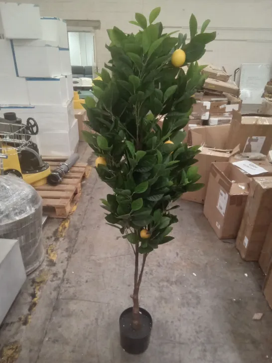 BOXED ARTIFICIAL 150CM LEMON TREE 