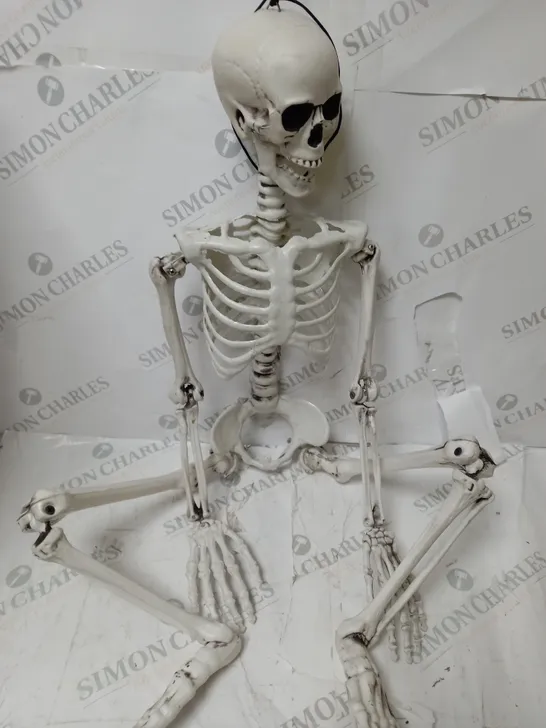 BOXED SKELETON HALLOWEEN DECORATION 