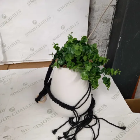 BUNDLEBERRY BY AMANDA HOLDEN HANGING MACRAME CERAMIC POT WITH FAUX PLANT, WHITE