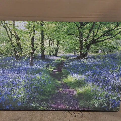 WRAPPED CANVAS PAINTING - PATH THROUGH THE BLUEBELLS FOREST (1 ITEM)