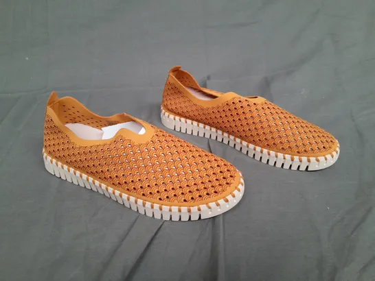 BOXED PAIR OF ILSE JACOBSEN TULIP GOLDEN NUGGET SIZE 39 