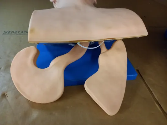 CPR TRAINING DUMMY