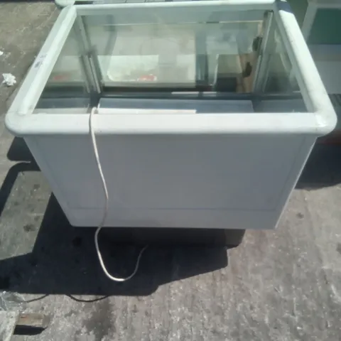 COMMERCIAL SMALL SELF SERVE FREEZER 