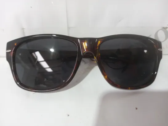 BOXED JPE CLASSIC SUNGLASSES WITH CASE - WARM TORTOISE