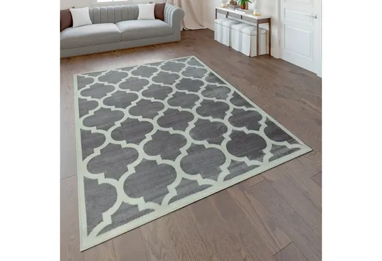 BRAND NEW BAGGED PACO SINAI AREA RUG - GREY // SIZE: 120 X 170cm