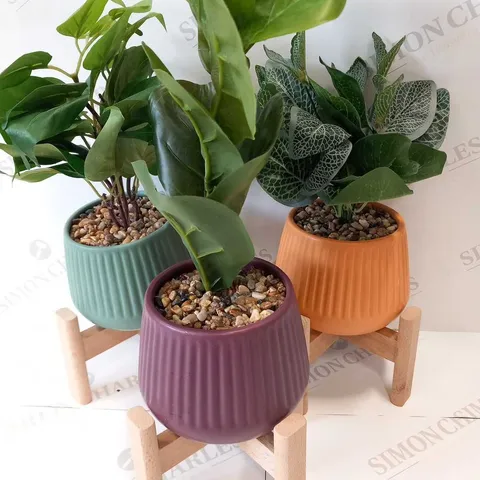 BRAND NEW BUNDLEBERRY BY AMANDA HOLDEN SET OF 3 PLANTERS ON WOODEN STANDS WITH FAUX PLANTS