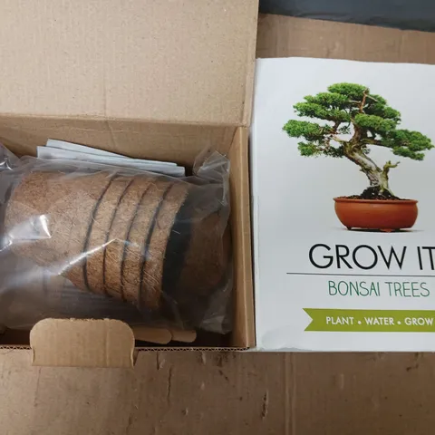 GROW IT BONSAI TREE 