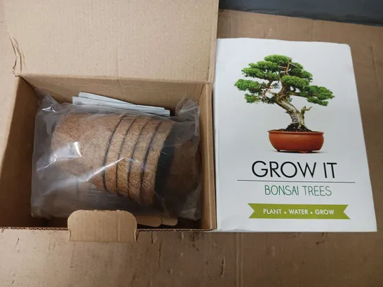 GROW IT BONSAI TREE 