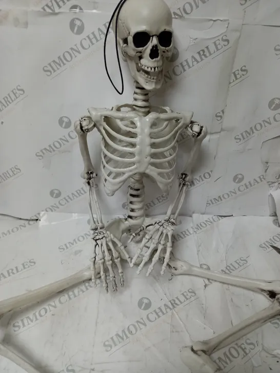 BOXED SKELETON HALLOWEEN DECORATION 