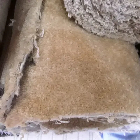 ROLL OF QUALITY NATURAL BEIGE CARPET