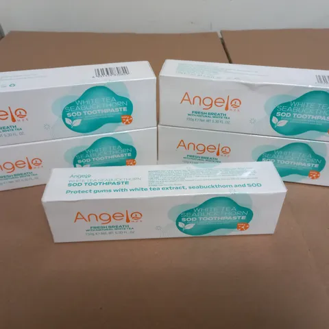 LOT OF 5 SEALED ANGEL WHITE TEA SEABUCKTHORN SOD TOOTHPASTE 150G