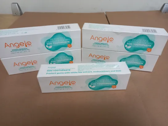 LOT OF 5 SEALED ANGEL WHITE TEA SEABUCKTHORN SOD TOOTHPASTE 150G