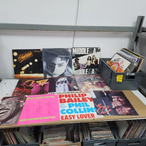 A COLLECTION OF VINYL RECORD LPs ETC