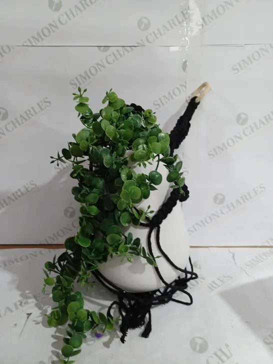 BUNDLEBERRY BY AMANDA HOLDEN HANGING MACRAME CERAMIC POT WITH FAUX PLANT, WHITE