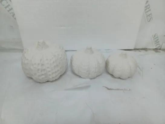 BOXED K BY KELLY HOPPEN SET OF 3 PUMPKIN DECOR