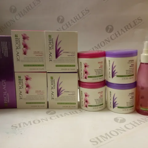 LOT OF APPROX 12 ASSORTED MATRIX HAIR PRODUCTS TO INCLUDE SHINE SHAKE, CERAMIDE TREATMENT, DENSITY HAIR SYSTEM, ETC
