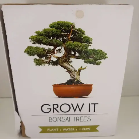 BOXED GROW IT BONSAI TREE