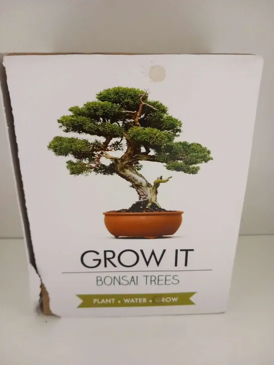 BOXED GROW IT BONSAI TREE