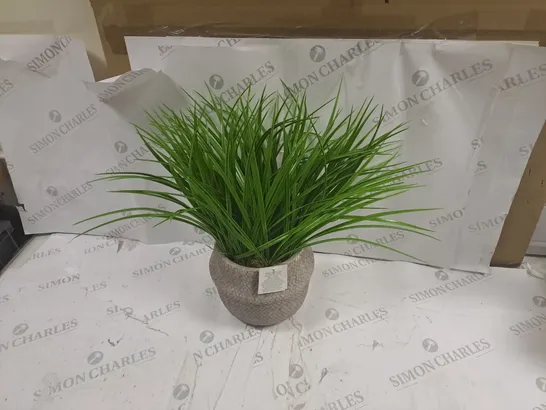 LARGE GRASS IN DECORATIVE POT 