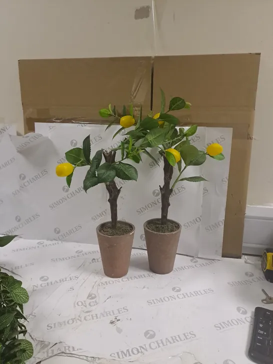 BOXED SET OF 2 SYNTHETIC LEMON TREES IN POTS