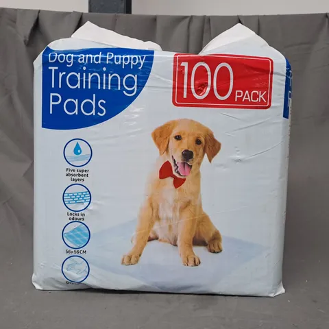 PACK OF 100 DOG AND PUPPY TRAINING PADS