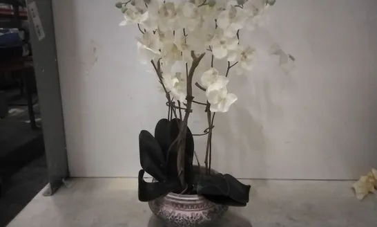 BOXED ORCHID CENTERPIECE IN PLANTER 