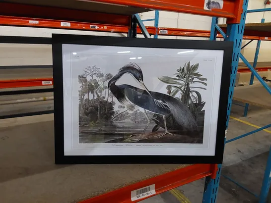 BOXED LOUISIANA HERON BY JOHN AUDUBON 