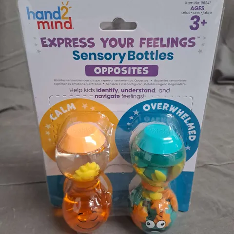 HAND2MIND SENSORY BOTTLES 