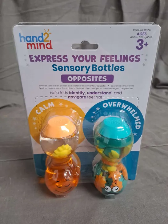 HAND2MIND SENSORY BOTTLES 