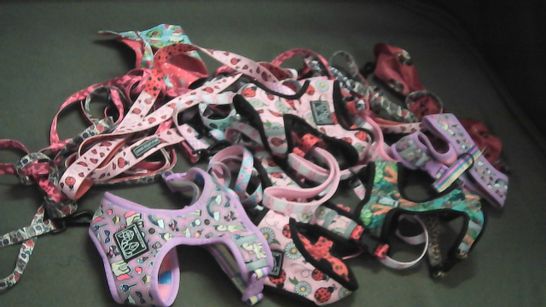 LOT OF ASSORTED BIG & LITTLE DOG HARNESS AND LEADS IN VARIOUS SIZES