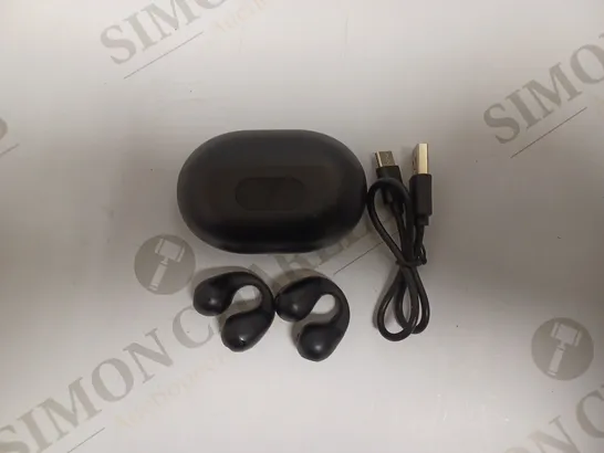 TUNE R15 TRULY WIRELESS IN-EAR HEADPHONES 