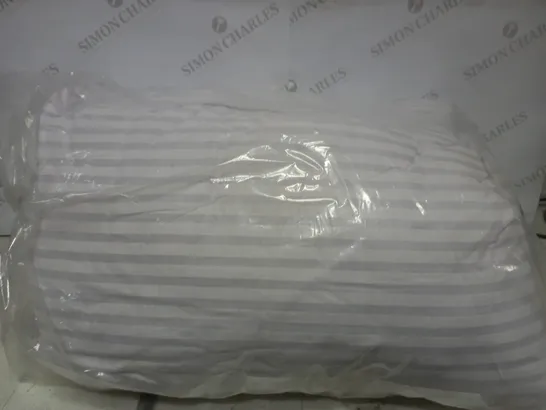 SET OF 2 UNBRANDED WHITE & LIGHT BLUE STRIPED PILLOW 