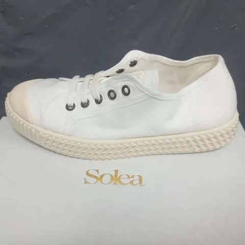 BOXED SOLEA BUMP BONE CANVAS SNEAKERS SIZE 37