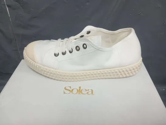 BOXED SOLEA BUMP BONE CANVAS SNEAKERS SIZE 37