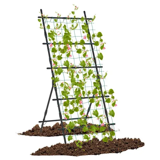 BOXED COSTWAY 74 INCH GARDEN CUCUMBER TRELLIS WITH PE-COATED FRAME FOR CLIMBING PLANTS