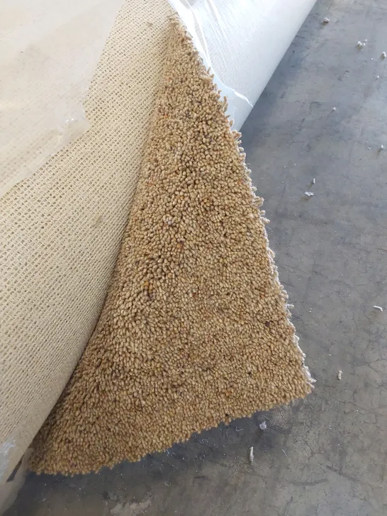 ROLL OF QUALITY FIRST IMPRESSIONS SOFT SPOKEN CARPET // SIZE: APPROX 4 X 3.3m