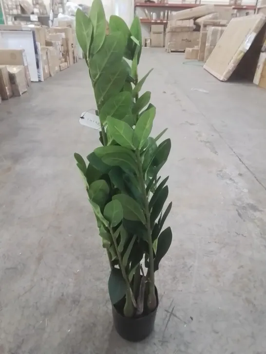 EMERALD 70CM ARTIFICIAL ZAMIOCULCAS