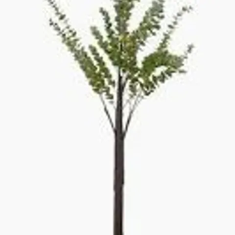 BOXED SARA DAVIES PRE-LIT INDOOR OUTDOOR EUCALYPTUS TREE - COLLECTION ONLY