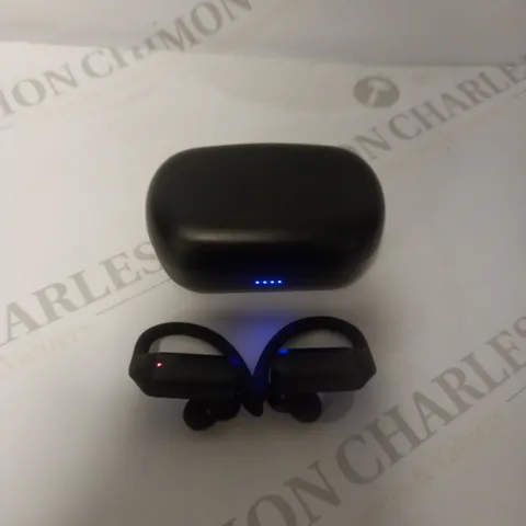 BLUETOOTH TRUE WIRELESS EARBUDS WITH CHARGING CASE