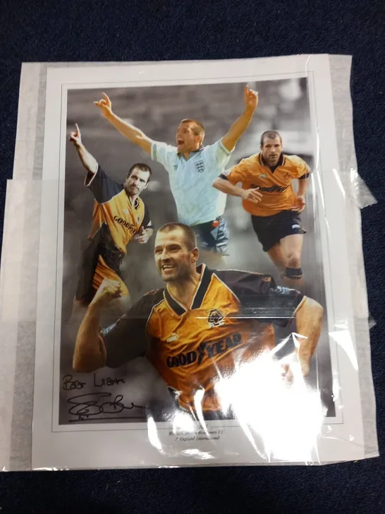 APPROXIMATELY 18 ASSORTED SIGNED PHOTOGRAPHS OF PROFESSIONAL FOOTBALLERS TO INNCLUDE; OLE GUNNAR SOLSKJEAR, STEVE BULL, ROB JONES AND SANDRO