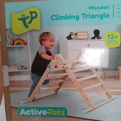 INDOOR WOODEN CLIMBING FRAME