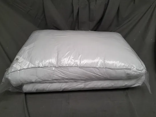 SEALED 2 LUXURY BOX PILLOW