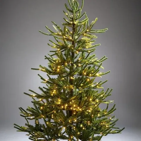 BOXED 7FT FRASER FIR UPSWEPT PRE-LIT MIXED TIPS CHRISTMAS TREE (1 BOX)