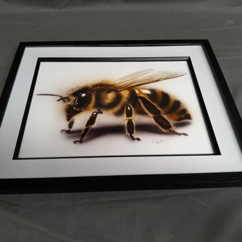 FRAMED AND SIGNED INSECT ART PRINT - COLLECTION ONLY