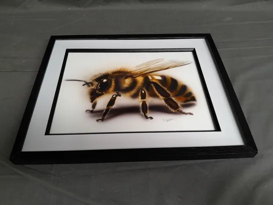 FRAMED AND SIGNED INSECT ART PRINT - COLLECTION ONLY