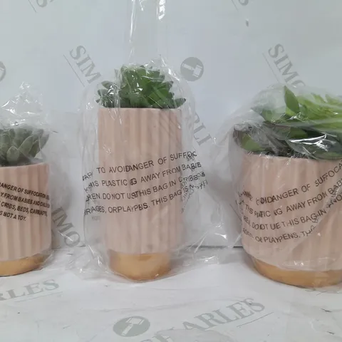 BOXED SET OF 3 FAUX CACTUS PLANTS IN VARYING SIZES