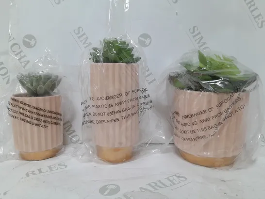 BOXED SET OF 3 FAUX CACTUS PLANTS IN VARYING SIZES