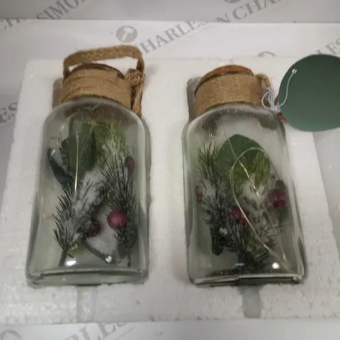 SARAH DAVIES SET OF 2 PRE LIT FOLIAGE GLASS JARS