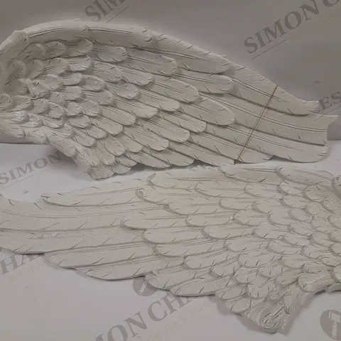 ANGEL WINGS SET